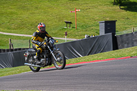 Vintage-motorcycle-club;eventdigitalimages;mallory-park;mallory-park-trackday-photographs;no-limits-trackdays;peter-wileman-photography;trackday-digital-images;trackday-photos;vmcc-festival-1000-bikes-photographs